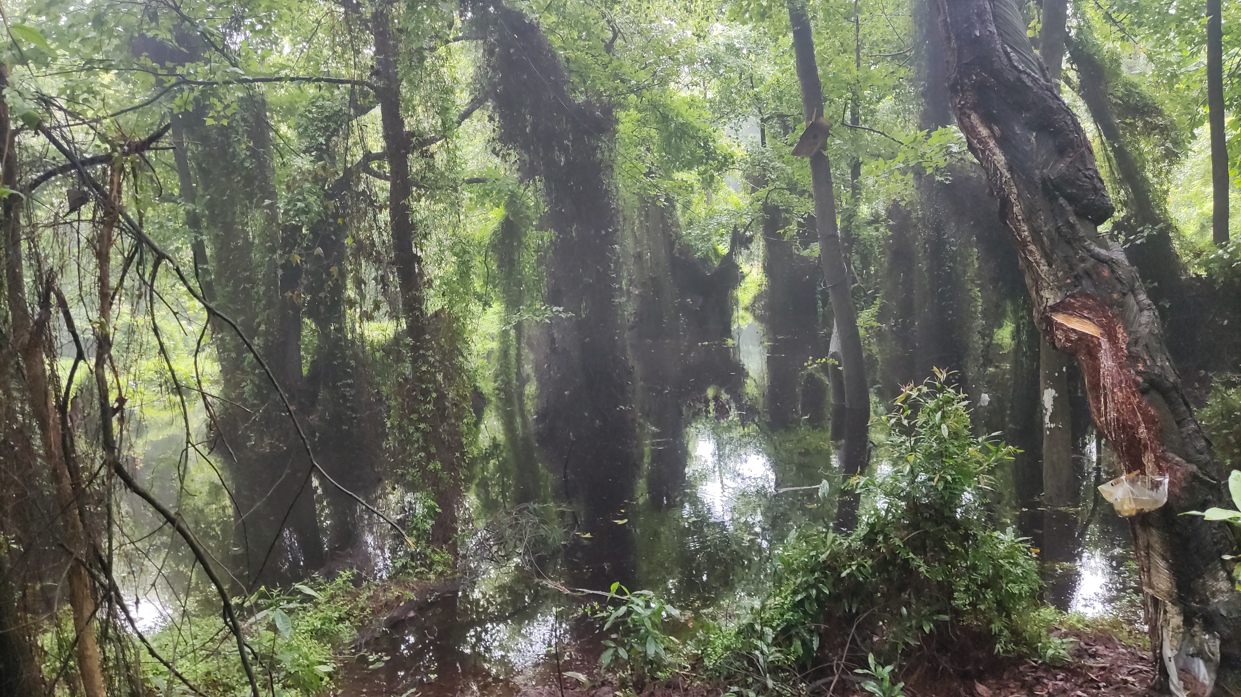 大失败!淹水了!